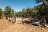 42320 Walk About Trail - Photo 23