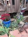 42320 Walk About Trail - Photo 68