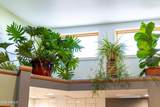 7709 Painted Rock Trail - Photo 25