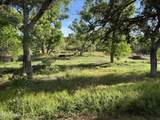 1226 Peterson Road - Photo 44