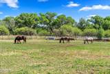 1226 Peterson Road - Photo 45