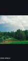746 Sleepy Hollow Lane - Photo 44