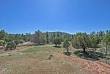 746 Sleepy Hollow Lane - Photo 47