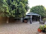 16220 Crocus Drive - Photo 52