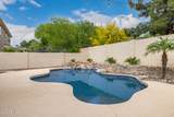 3019 Larkspur Street - Photo 71