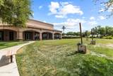 14362 Alvarado Drive - Photo 49