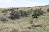 037 Desperado Drive - Photo 16