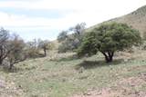 037 Desperado Drive - Photo 18
