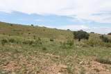037 Desperado Drive - Photo 21