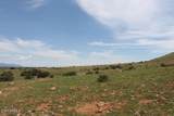 037 Desperado Drive - Photo 4
