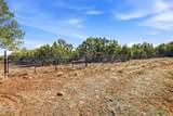 179 County Road 3158 - Photo 5