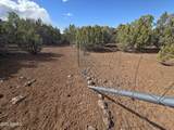 179 County Road 3158 - Photo 8