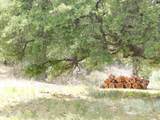1697 Tombstone Canyon - Photo 42
