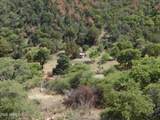 1697 Tombstone Canyon - Photo 64