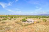 9354 Deer Ridge Trail - Photo 49