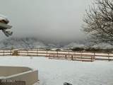 9354 Deer Ridge Trail - Photo 50