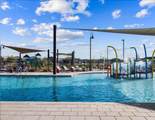 17661 Morning Glory Street - Photo 40