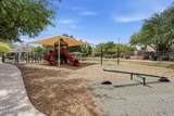 2634 Del Rio Street - Photo 36