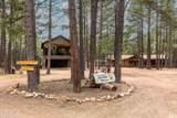 2426 Daisy Trail - Photo 1