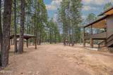 2426 Daisy Trail - Photo 46