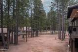 2426 Daisy Trail - Photo 49