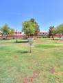 45574 Tulip Lane - Photo 49
