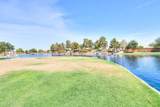 45574 Tulip Lane - Photo 50