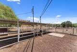 51263 Us Highway 60 89 - Photo 42