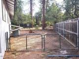 1211 Ponderosa Circle - Photo 15
