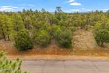 5459 Gray Wolf Drive - Photo 8