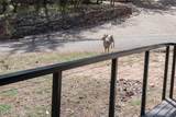 6456 Kenny Circle - Photo 42