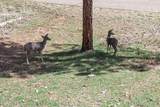 6456 Kenny Circle - Photo 44