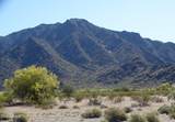 11909 Ocotillo Road - Photo 16