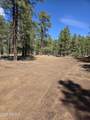 6612 Lynx Lane - Photo 4