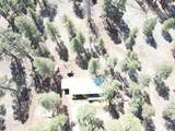 6612 Lynx Lane - Photo 40