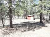 6612 Lynx Lane - Photo 41