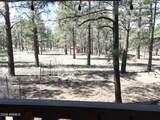 6612 Lynx Lane - Photo 48