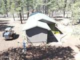 6612 Lynx Lane - Photo 5