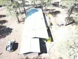 6612 Lynx Lane - Photo 8