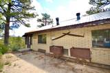 23277 Demascus Road - Photo 12