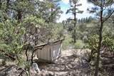 23277 Demascus Road - Photo 39