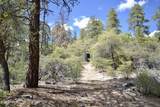 23277 Demascus Road - Photo 40