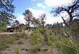 23277 Demascus Road - Photo 43