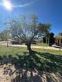 23016 Lakewood Drive - Photo 11