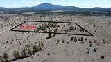 5303 Red Mountain Road - Photo 1