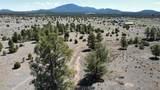 5303 Red Mountain Road - Photo 14
