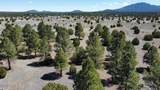 5303 Red Mountain Road - Photo 15