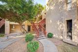 3131 Cochise Drive - Photo 4