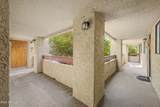 3131 Cochise Drive - Photo 6