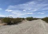 3125 Butterfield Drive - Photo 7